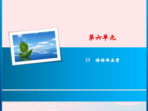 九年级语文下册第六单元23《诗词曲五首》习题课件新人教版