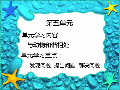 绿毛龟