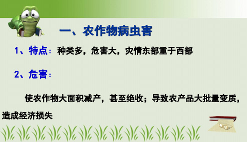 高中地理-2.5 中国的生物灾害