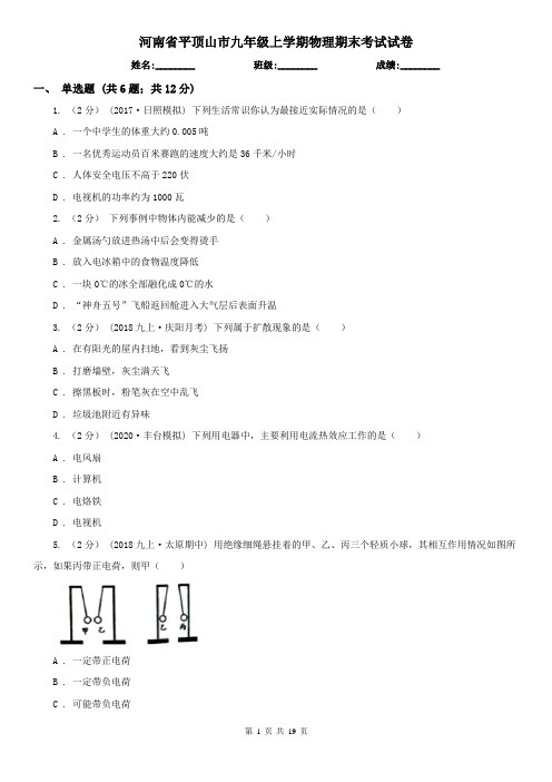 河南省平顶山市九年级上学期物理期末考试试卷