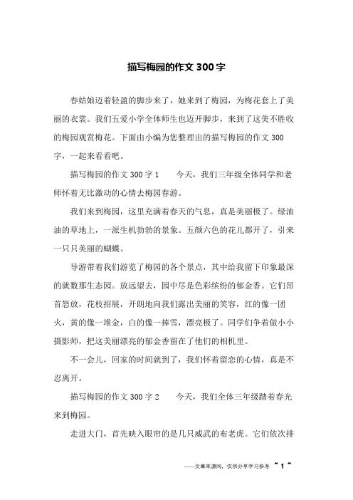 描写梅园的作文300字