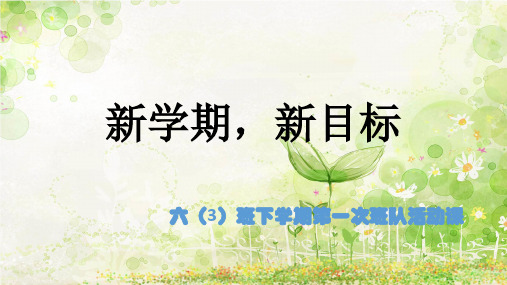 新学期,新目标ppt(1)