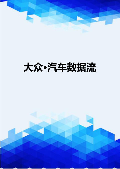 【信息化-精编】大众·汽车数据流