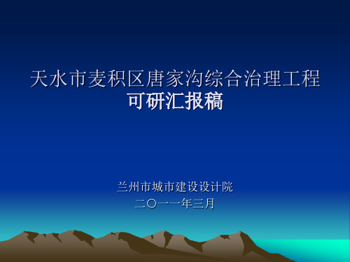 唐家沟综合治理工程可研汇报稿