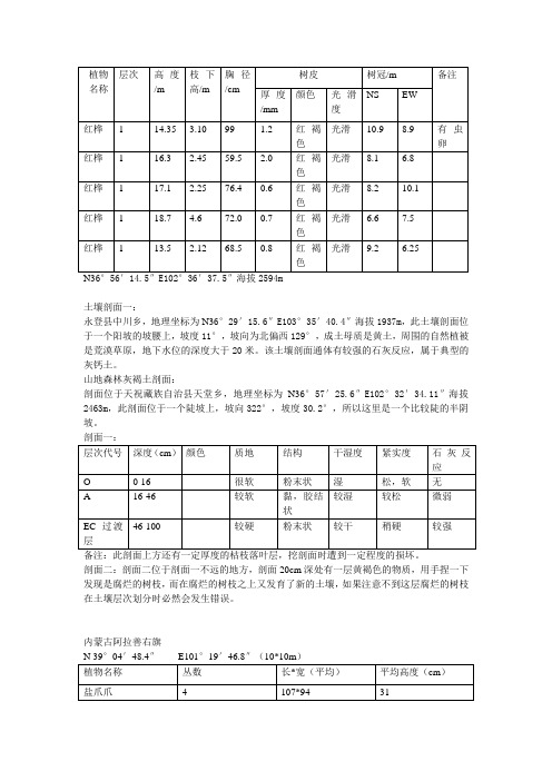 乔木调查记录表及土壤剖面记载表