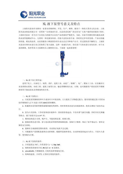 NL液下泵型号意义及特点