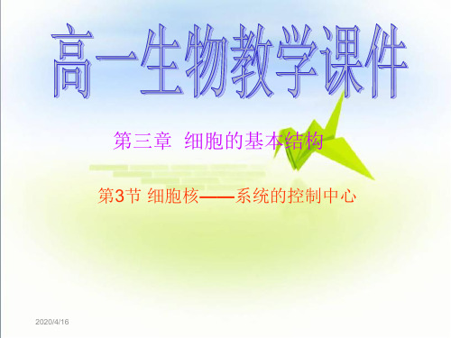 人教版 高一生物 第三章第三节 细胞核的结构及功能资料讲解