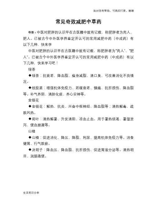 常见奇效减肥中草药