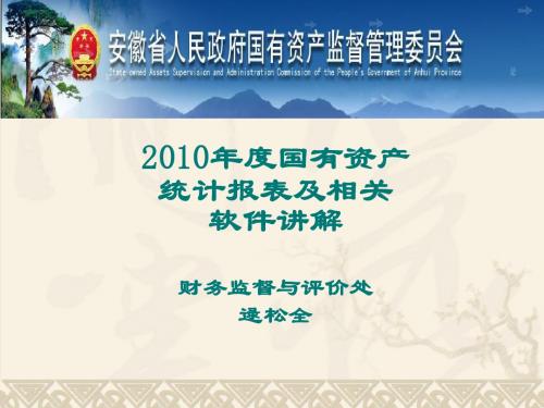 2010年度统计报表及软件讲解