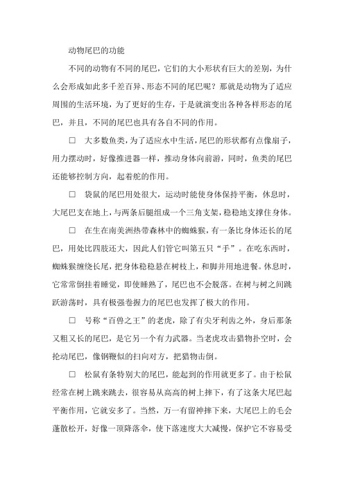 部编版小学语文一年级上册 6.比尾巴--动物尾巴的功能