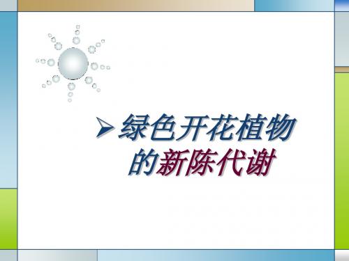 深圳中考科学之绿色开花植物的新陈代谢