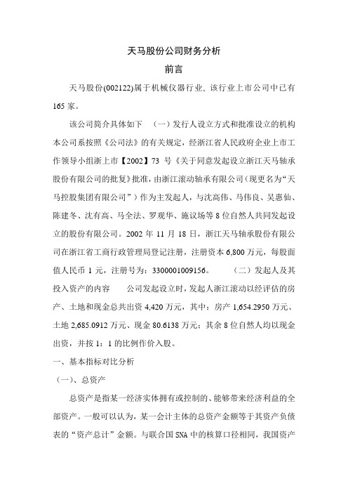 天马股份公司财务分析
