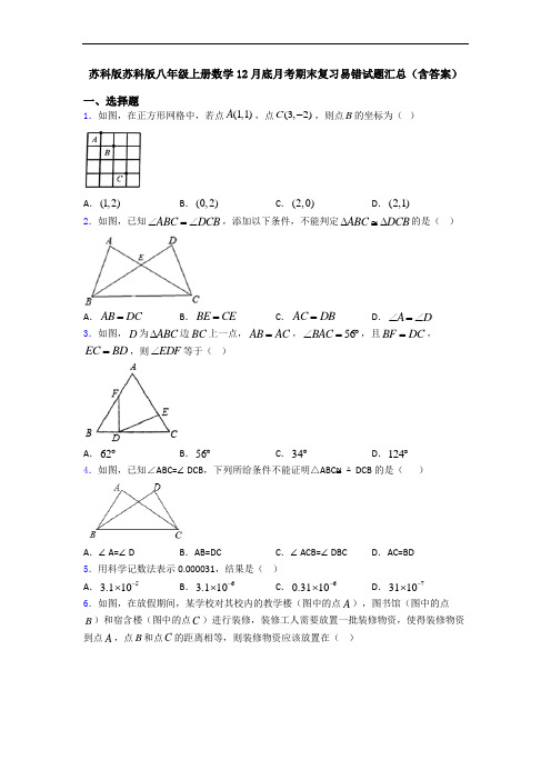 苏科版苏科版八年级上册数学12月底月考期末复习易错试题汇总(含答案)