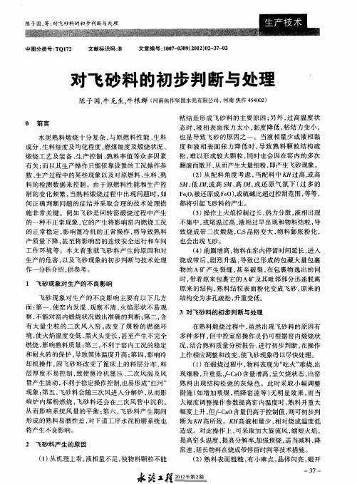 对飞砂料的初步判断与处理