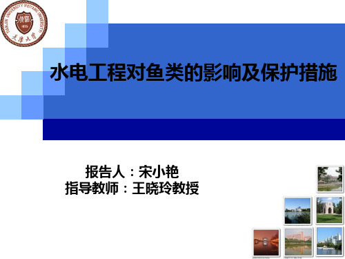最新2019-水电工程对鱼类的影响及保护措施-PPT课件