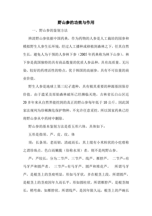野山参的功效与作用