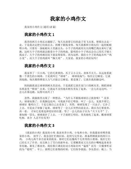 我家的小鸡作文