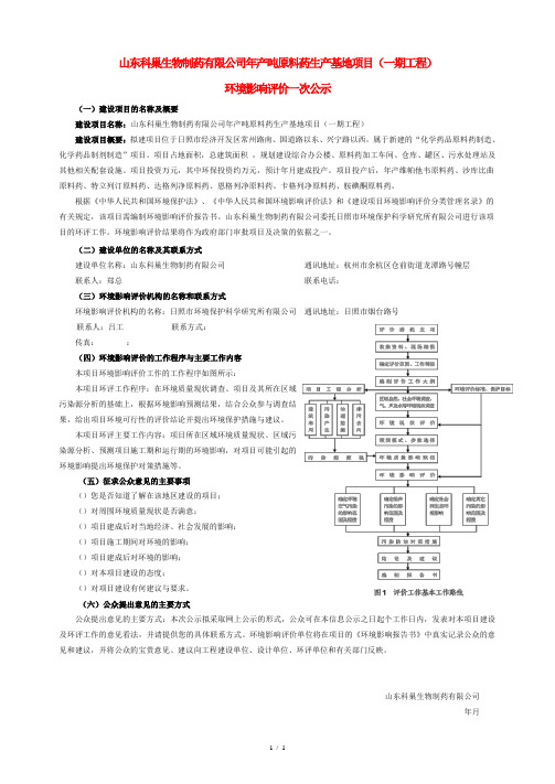 山东科巢生物制药有限公司年产410吨原料药生产基地项目(