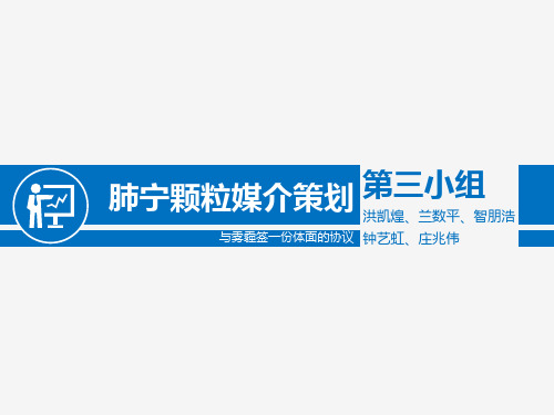修正肺宁颗粒广告媒体策划书