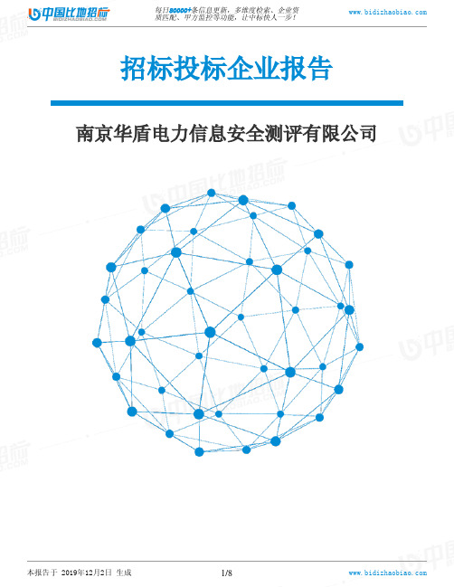 南京华盾电力信息安全测评有限公司-招投标数据分析报告