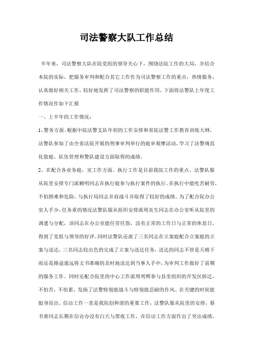 司法警察大队工作总结