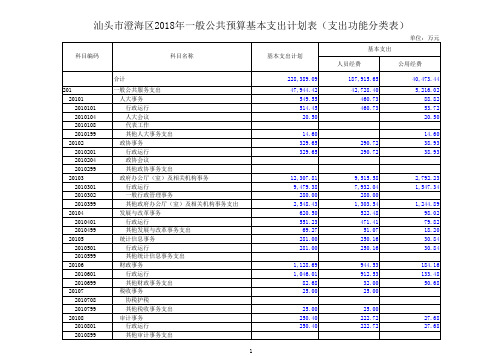 基本支出功能分类表