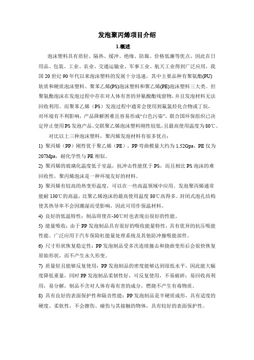 发泡聚丙烯项目介绍