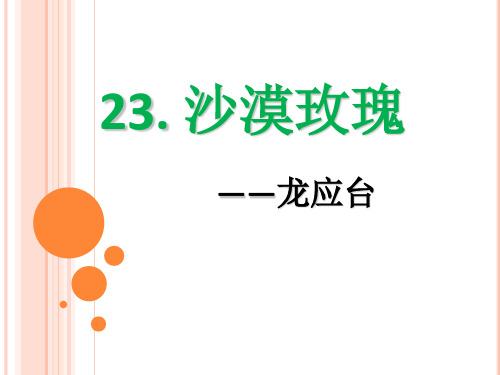 《沙漠玫瑰》ppt课件(5篇)