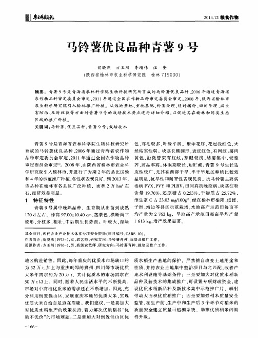 马铃薯优良品种青薯9号
