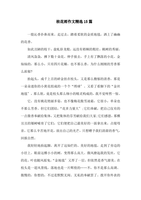 桂花雨作文精选15篇精选