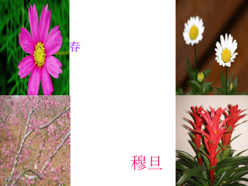 高中语文人教选修《中国现代诗歌散文欣赏》课件：诗歌部分 第一单元 生命的律动--春(共17张PPT)