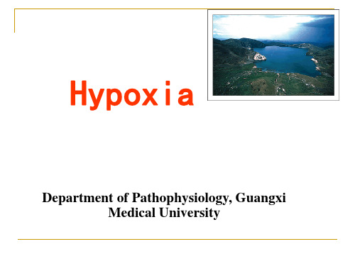 2015.3 hypoxia (双语班) 病理生理学双语课件