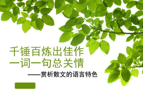 赏析散文语言