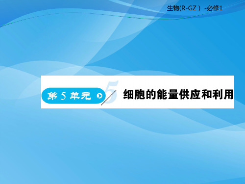 高中生物必修一第5章《细胞的能量供应和利用》ppt课件(【人教版6份)生物课件PPT
