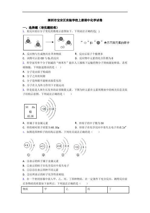 深圳市宝安区实验学校上册期中初三化学试卷