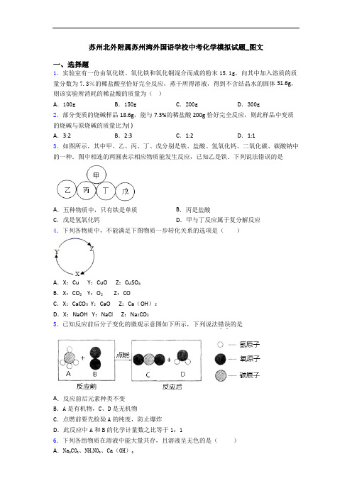 苏州北外附属苏州湾外国语学校中考化学模拟试题_图文