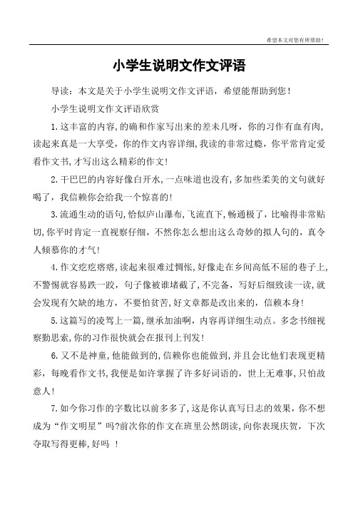 小学生说明文作文评语