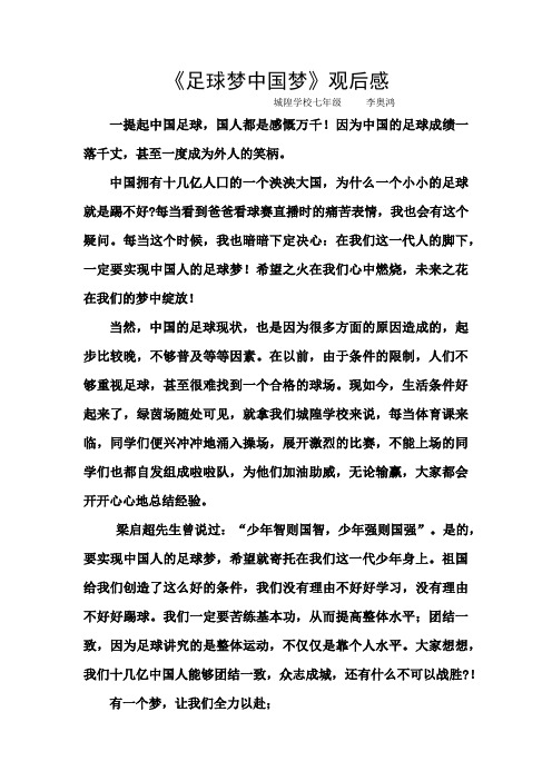 《足球梦  中国梦》  观后感