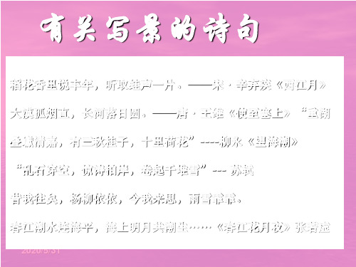 《人间词话》十则ppt课件