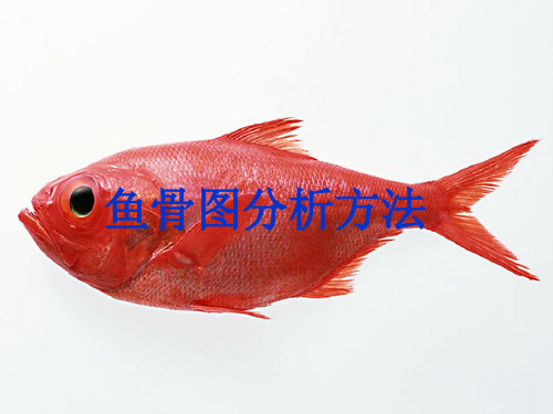 鱼骨图分析方法讲义