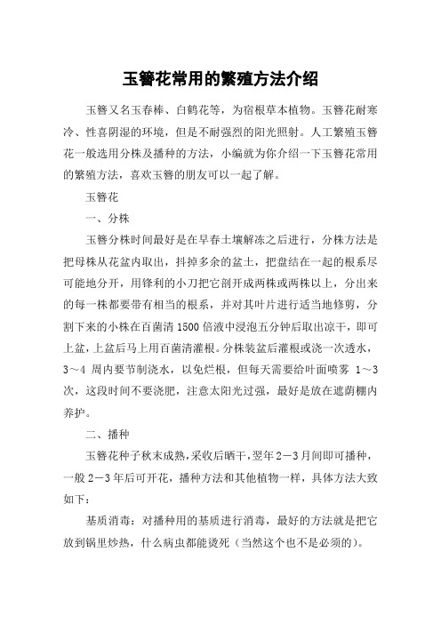 玉簪花常用的繁殖方法介绍