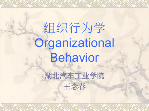 第一章--组织行为学导论