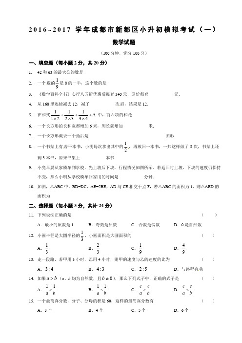 学成都市新都区小升初模拟考试数学试题