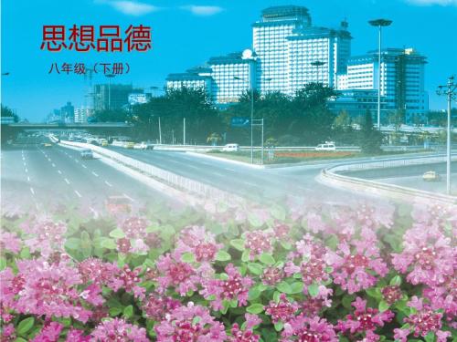初中政治_维护人身权利PPT课件7