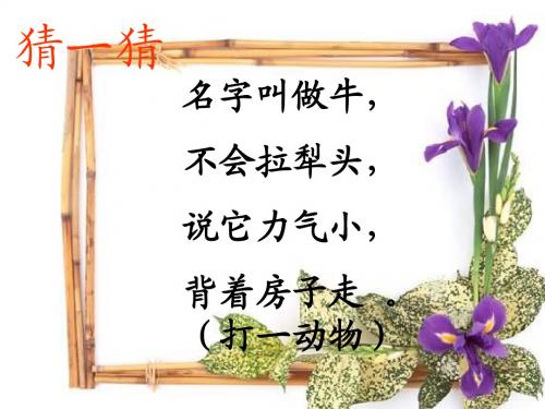 三年级文上册《蜗牛》PPT(语文S版)