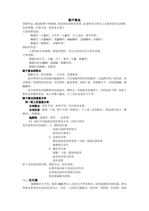 森林昆虫复习资料6蛀干害虫