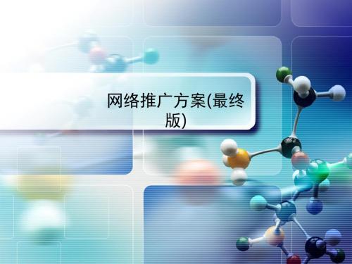 网络推广方案(最终版)PPT课件