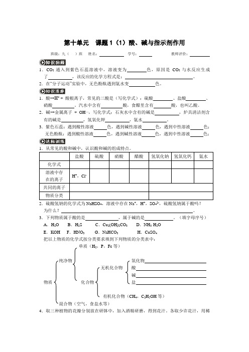 人教版九年级化学下册课时作业：第十单元 课题1 常见的酸和碱(无答案)