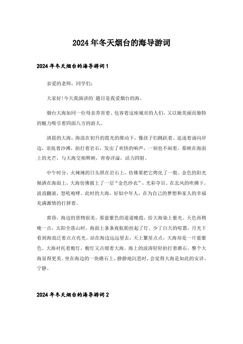 2024年冬天烟台的海导游词_3