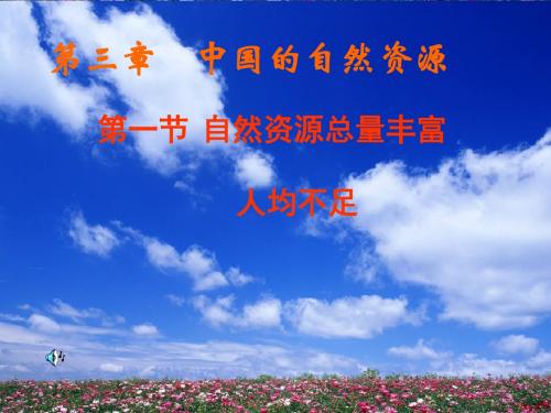 新课标人教版初中地理八年级上册第三章《第一节自然资源总量丰富-人均不足》课件